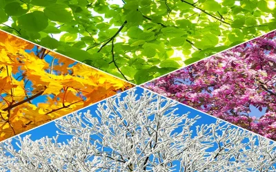 Seasonal Home Maintenance Checklist for Foundations – Expert Tips and Insights