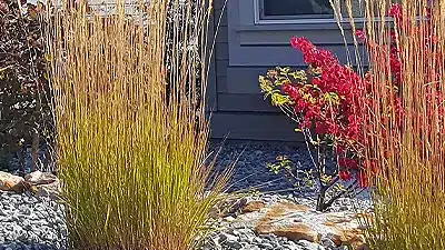 Gravel & Rock Around the Foundation