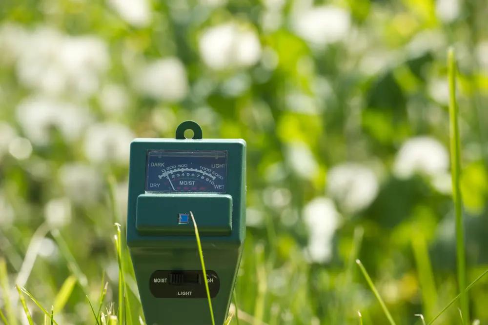 Fall Lawn Watering Measure soil moisture