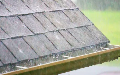 Best Types of Foundation Drainage Systems – Water Control Needs – Advice in Action
