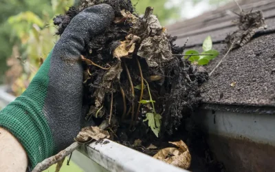 Foundation Drainage Maintenance – Expert Solutions on Ways to Stay Dry