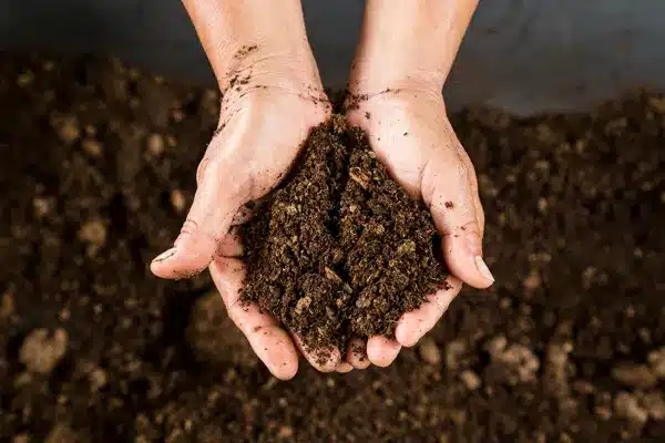 Life After Foundation Repair-Will My House Be Level - Soil Conditions Life After Foundation Repair-Will My House Be Level - Soil Conditions