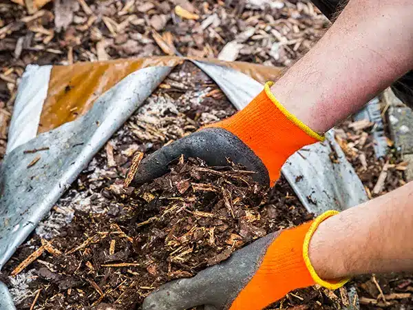 Foundation Landscaping - Compost for Clay Soil