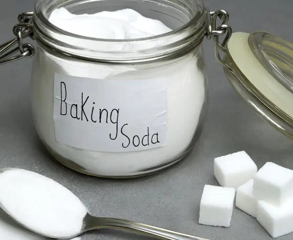 Baking Soda and Sugar Ant Killer