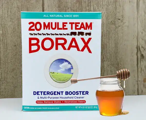 Borax Homemade Ant Killer Ant Trap