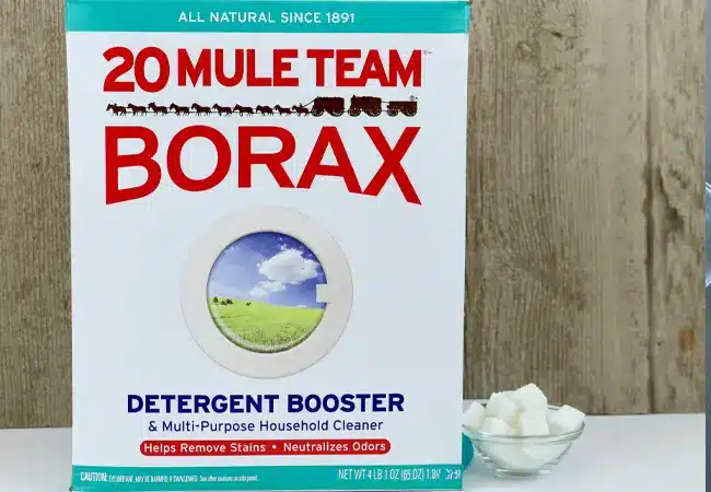 Homemade Roach Killer Baking Soda Recipe