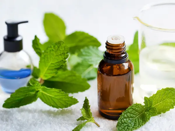 Homemade Peppermint Oil Wasp Spray - Natural Wasp Spray Recipe