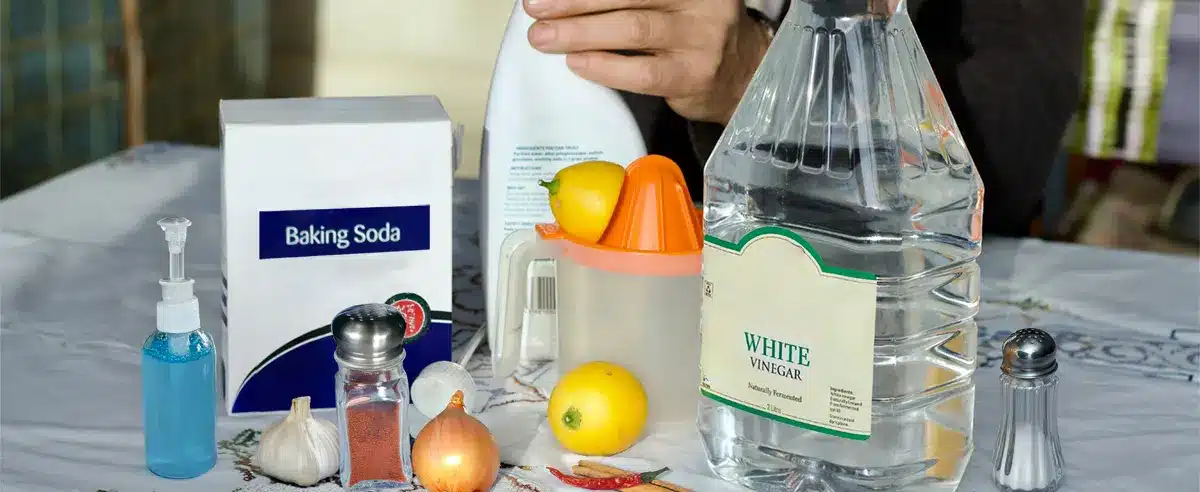 Why Make Eco-Friendly Homemade Insect Repellent Recipes