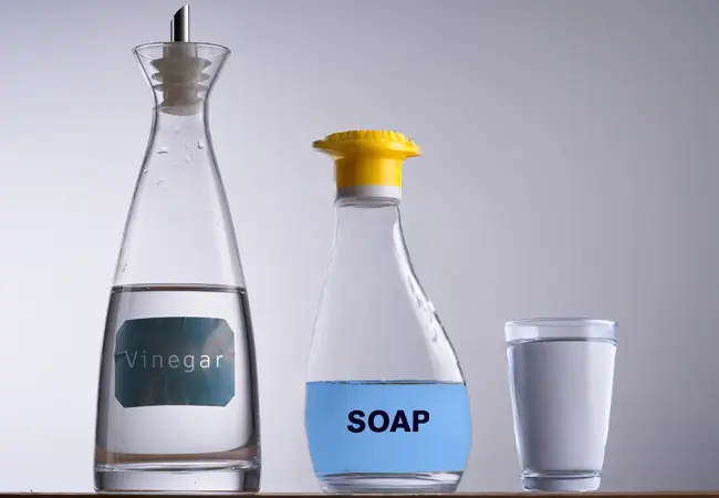 Homemade Roach Spray with Vinegar, soap, and water