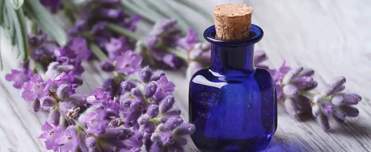 How to Make Homemade Bug Spray for Spiders: Frugal, Easy Foundation Landscaping