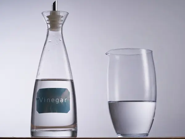 Homemade white vinegar spider spray
