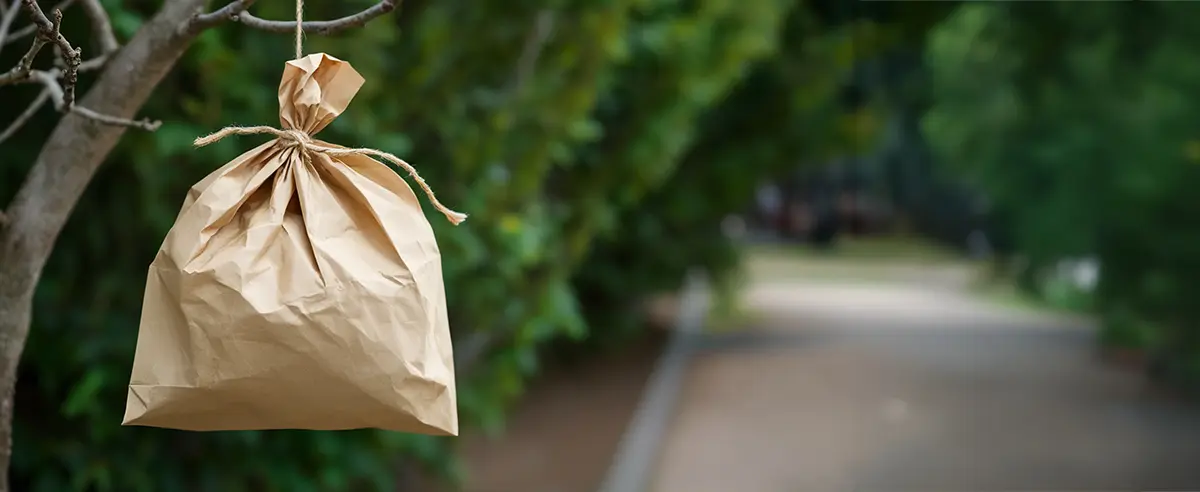How to Make Homemade Wasp Trap and Spray: Fantastic Foundation Landscaping