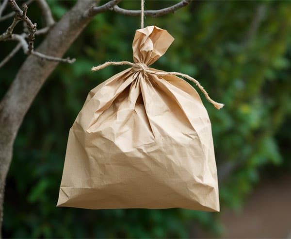 Homemade Fake Wasp Nest