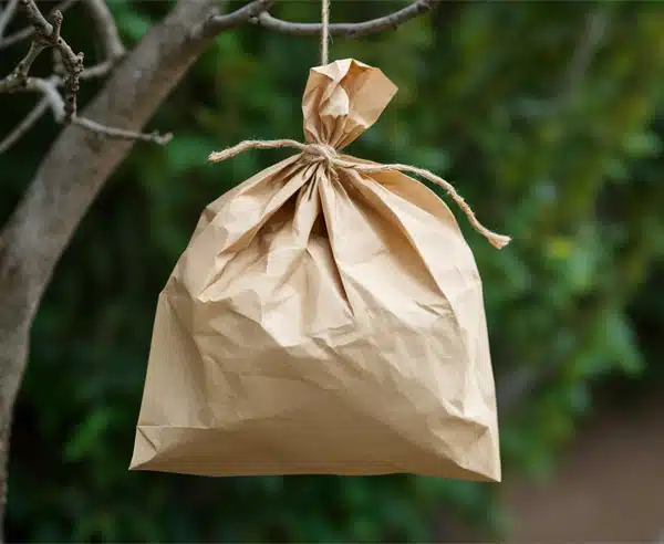 Homemade Fake Wasp Nest
