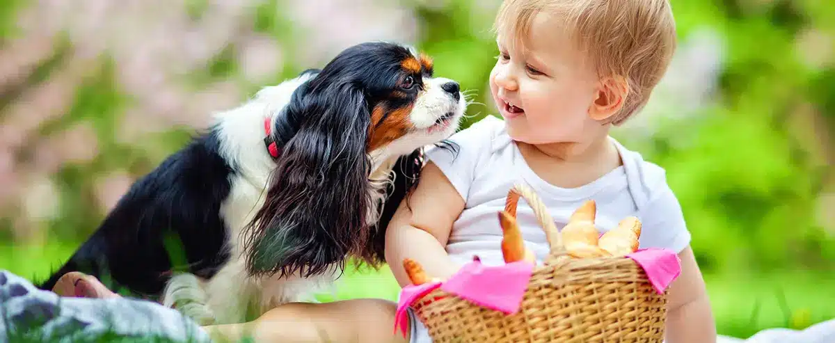 Foundation Landscaping: How to Make Epic Kid & Pet Friendly Pest Control