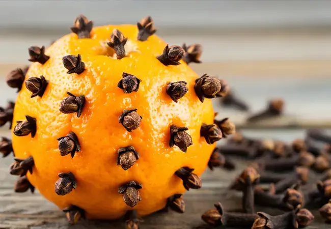 Natural Fly Repellent Clove Studded Orange