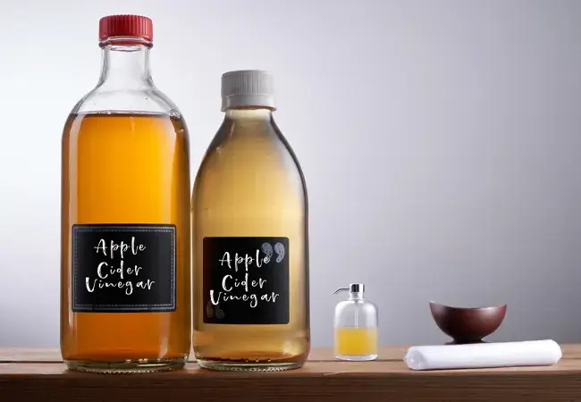 Homemade fly killer / fly trap with apple cider vinegar